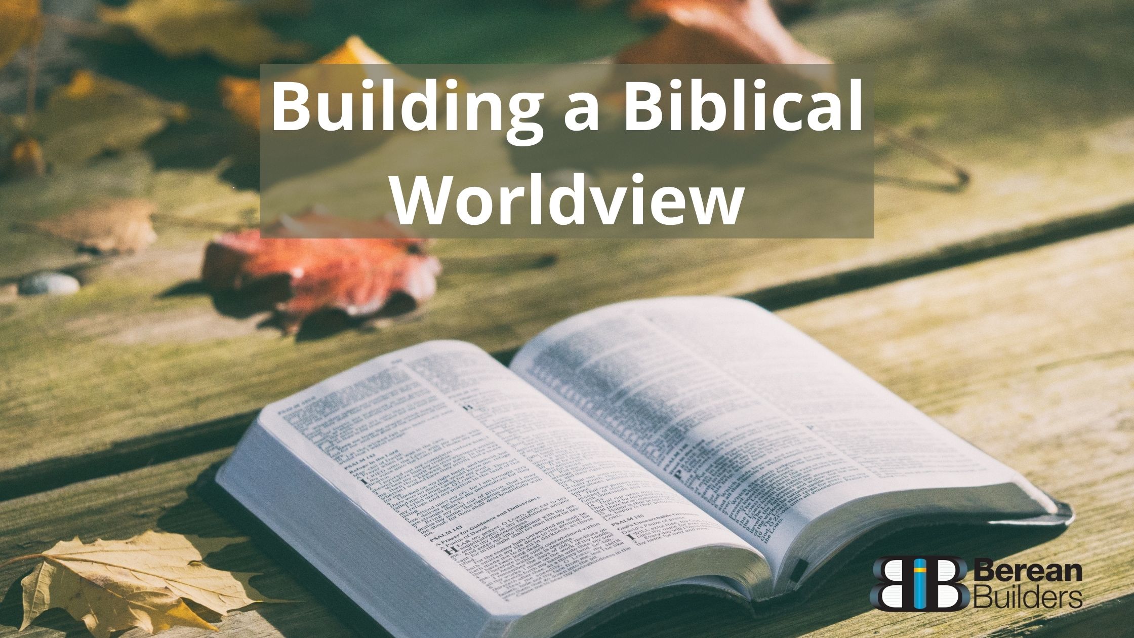 Berean Builders Christian Biblical Worldview