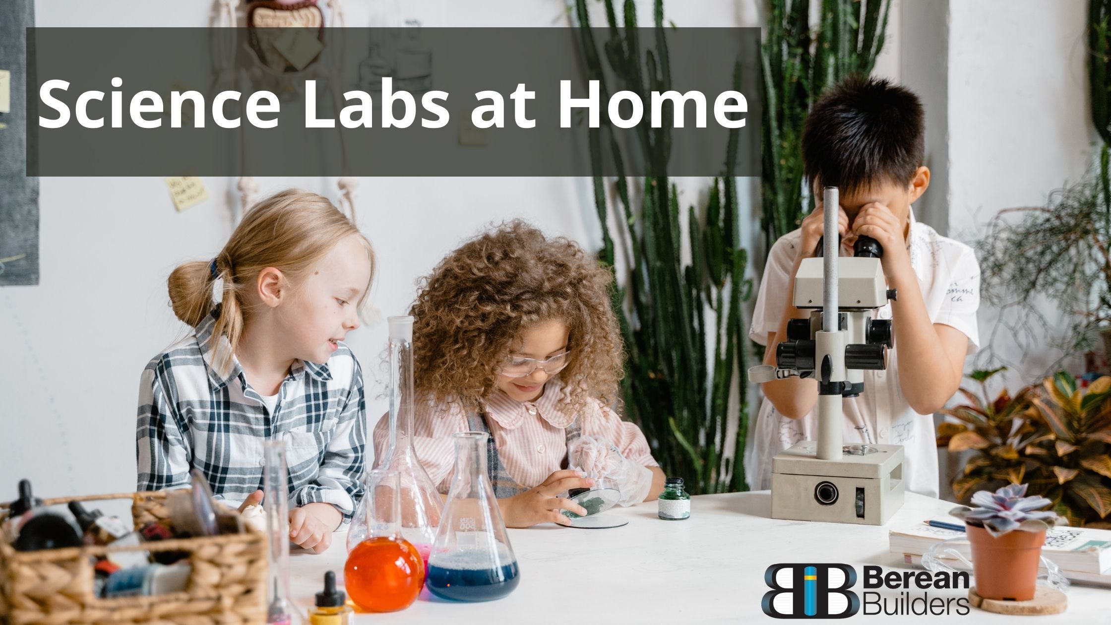 homeschool science lab