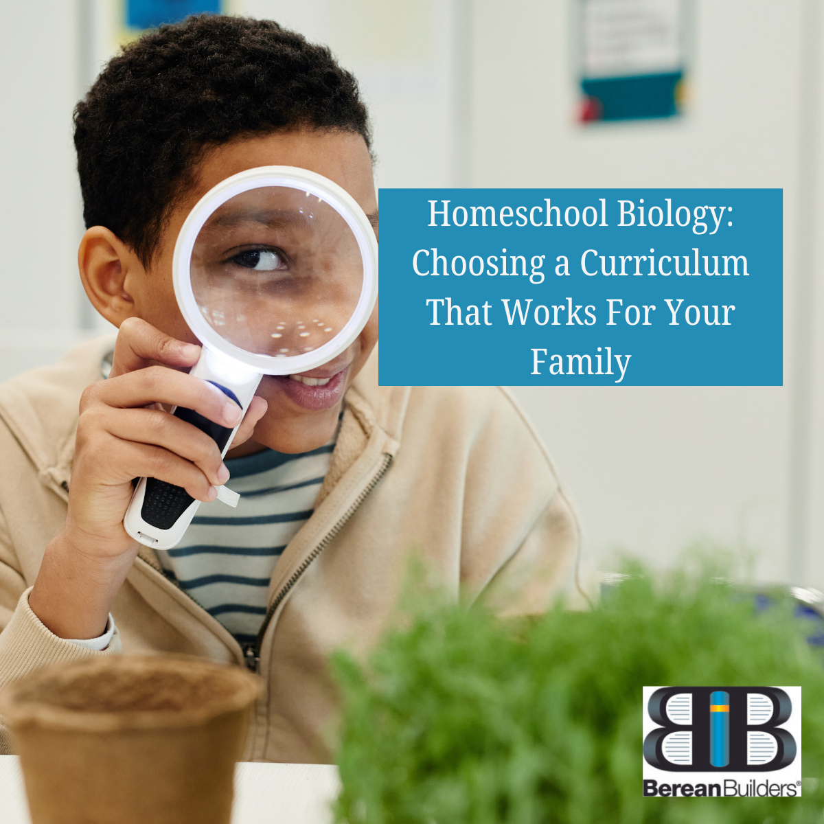 Homeschool Biology: Choosing a Curriculum That Works For Your Family